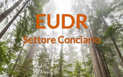Preparati alla normativa EUDR: Xtannery supporta le concerie nella compliance