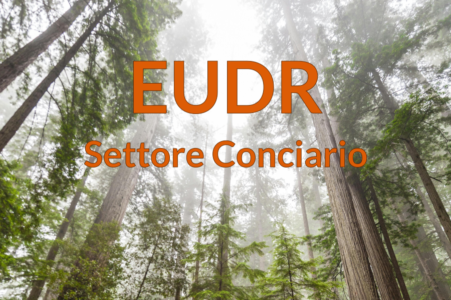 Preparati alla normativa EUDR: Xtannery supporta le concerie nella compliance
